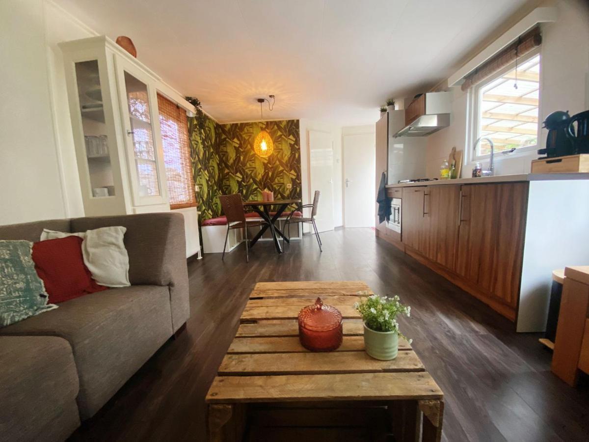 Chalet With Access To The Woods - No 147 Anloo Eksteriør billede