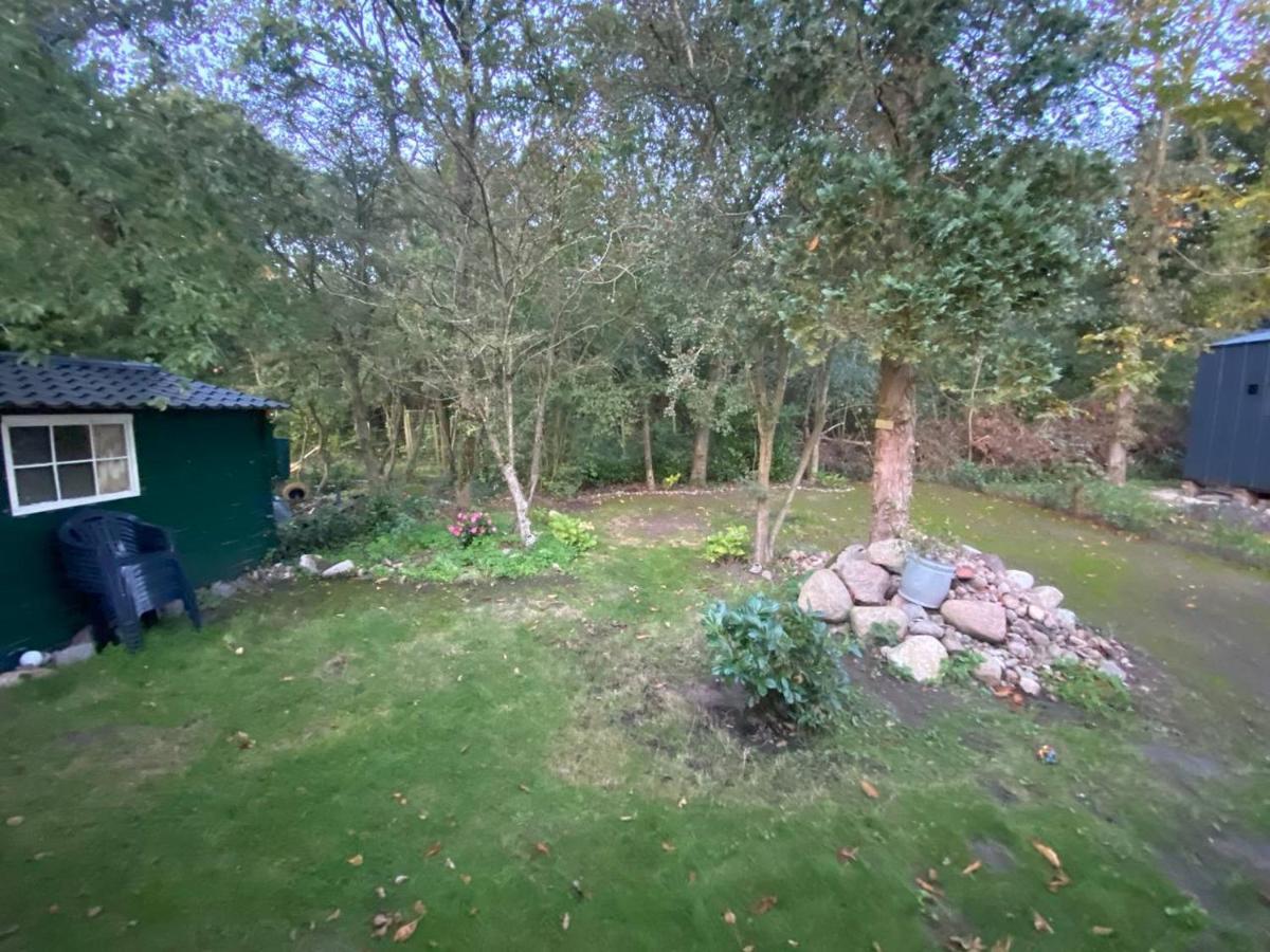Chalet With Access To The Woods - No 147 Anloo Eksteriør billede